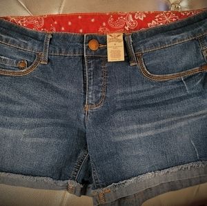 Faded Glory Shorts
